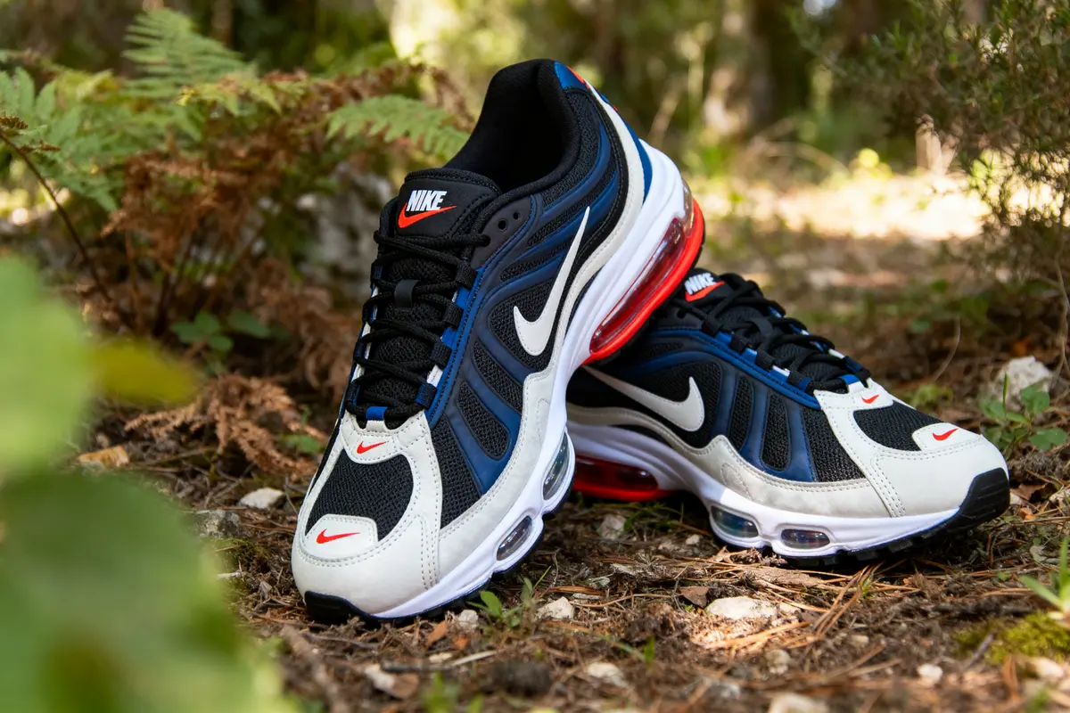 Chaussures de sport Nike noires, blanches et rouges sur sol forestier, éclairage naturel.